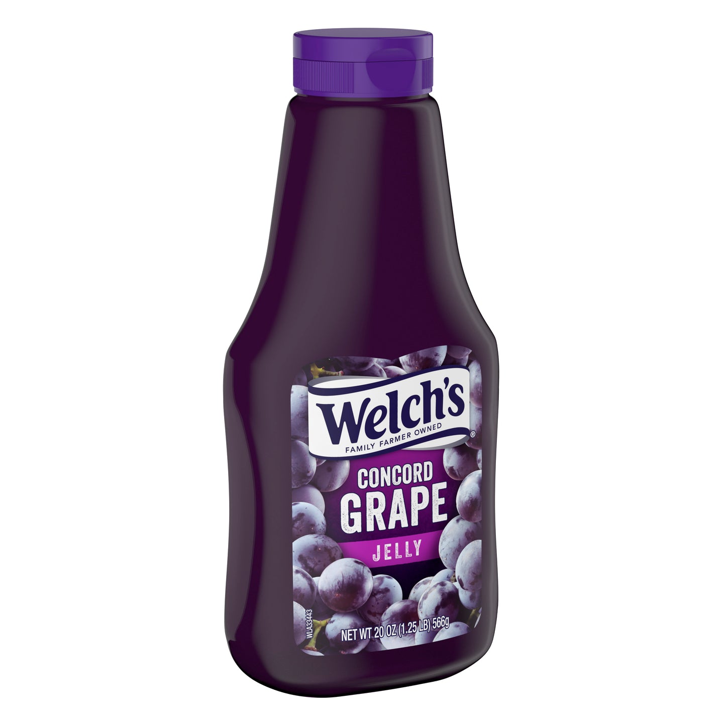 Spread Squeeze Concord Grape Jelly 20 Ounce Size - 12 Per Case.