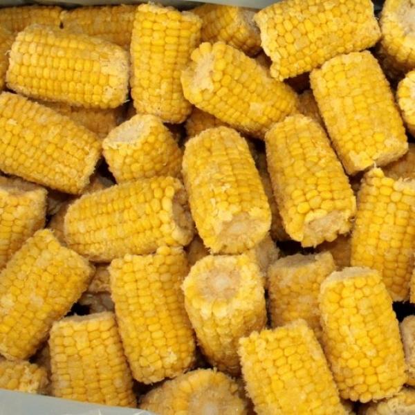 Commodity Corn Cob Mini 3" 96 Count Packs - 1 Per Case.