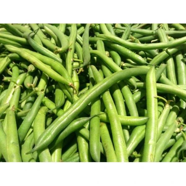 Commodity Green Bean Whole 2 Pound Each - 12 Per Case.