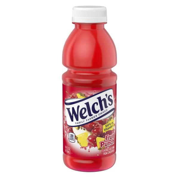 Fl Juice Drink Fruit Punch 16 Fluid Ounce - 12 Per Case.