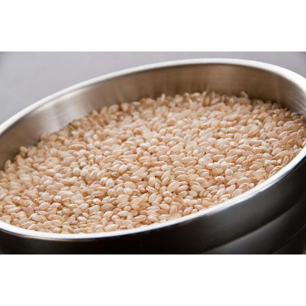 Short Grain Brown Rice 25 Pound Each - 1 Per Case.