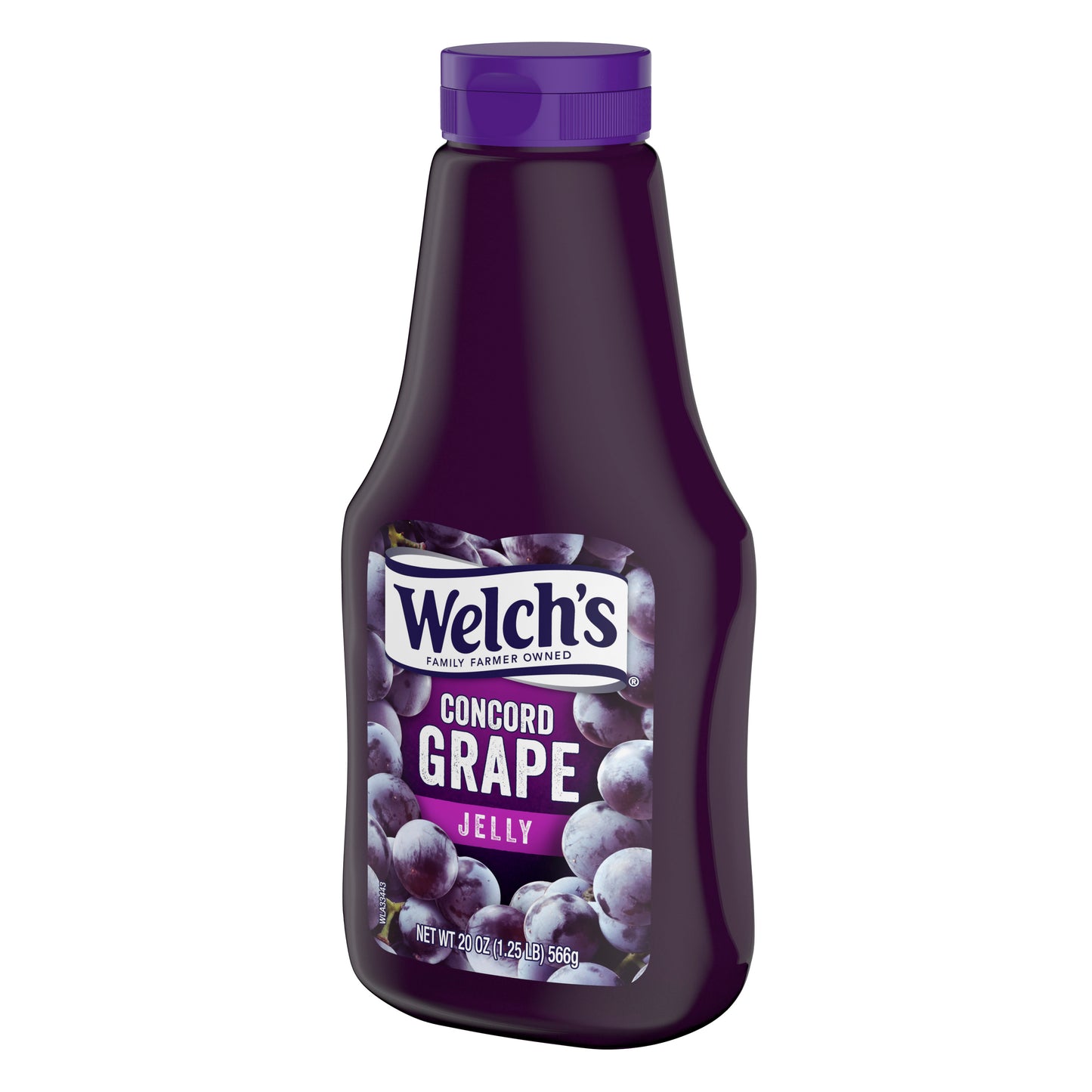 Spread Squeeze Concord Grape Jelly 20 Ounce Size - 12 Per Case.